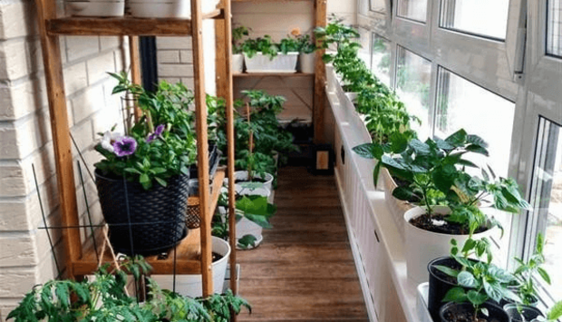 Top 10 mẫu thiết kế ban công chung cư trồng rau đẹp nhất 2023